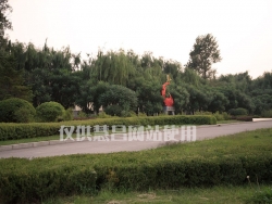 園林綠化工程之苗木出圃的技術要求